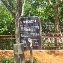 머물다,중랑
