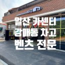 일산 수입차 정비 강매동 차고 메르세데스 출신 정비사 벤츠 전문점