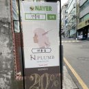[신사] 엔플럼 방문후기