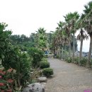 호근동-7 이미지