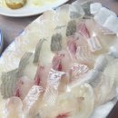한잔회도매횟집