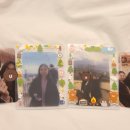 미쳐버린파닭(춘천점) 이미지