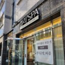켈리스파 이미지