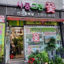 사동그린꽃 이미지