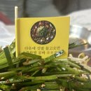 부산 남포동 막창 맛집 &#39;미친막창&#39; 후기