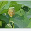 뚝길따라 이미지