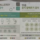 지연성 알러지 (IgG4) 검사와 MAST 알러지, 후기, 잠실 서울드림이비인후과