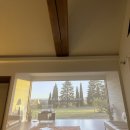 그리니제주 | 제주 고요한오후 후기｜그리니 제주 서쪽 서귀포 감성 숙소, 고양이가 있는 힐링 스테이