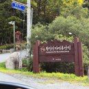황정산자연휴양림입구 | 황정산자연휴양림 오토캠핑장 예약 꿀팁과 실제 후기(명당추천)