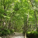 대봉약수터 이미지