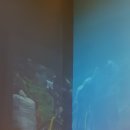 야동농장 이미지