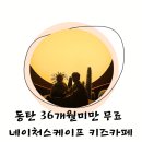 대자연어린이집 | 동탄 네이처스케이프 36개월미만무료 가봐야할곳 디스커버리테마파크