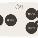 메인카피 이미지