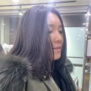 베누스헤어 이미지