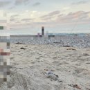 경주 양남놀이터 내돈내산 후기｜방 4개 독채 숙소, 5가족 12명이 함께한 대가족 여행