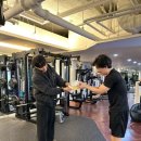 보리스 짐 이미지