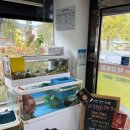 이미견 밥엔 낙지볶음 이미지