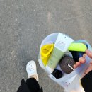 태심관 합기도 입실 체육관 | 게으른 인간의 대통령기 후기