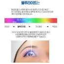 투디어 이미지