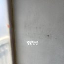 지에스25오산동부점 | 갈곶동부아파트 오산 탄성코트 오래된 베란다 곰팡이 페인트 칠
