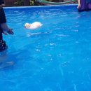 무창포 히든빌리지 이미지