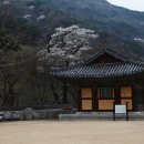 표충사1 이미지