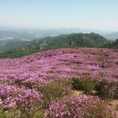 용추맛집 이미지