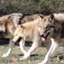 덕소사우나 이미지