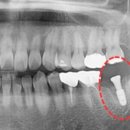참조은치과의원 이미지