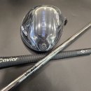 드라이버독 이미지