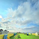 퍼피타운커피 이미지