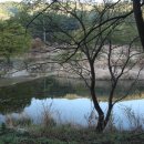 양평로그캠프 이미지