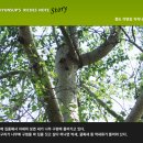 닥터부동산 이미지