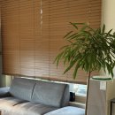 스테이온빈 이미지