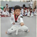 SK코리아태권도 이미지