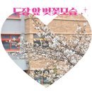 아이퍼스트플러스