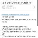 느그유충 누가 궁금해한다고 그와중에 후려치기봐라 5000원 ㅇㅈㄹ 이미지