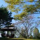 경상남도수목원박물관 이미지