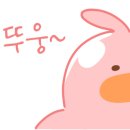 디투블루 이미지