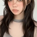 메르시모몽 이미지