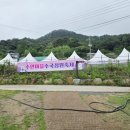 수안주유소 | 김해 수안마을 수국축제 2025 주차장 기본 정보