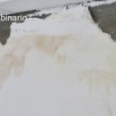 금호어울림 2405동 이미지