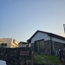 하도살이 이미지