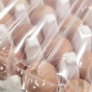 큰닭농장 이미지