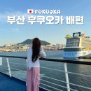 뉴하나팜(주) | 부산 후쿠오카 배편 일본 뉴카멜리아호 2등실 침대 후기