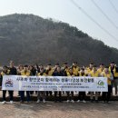 하나사조