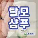 여성탈모샴푸 닥터안스 위드 헤르바 일주일 사용후기