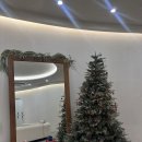 델리헤어샵 | [판교 미용실 추천] 꼼나나비앙 내돈내산 후기