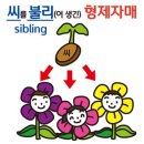 어피즈