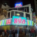 물보라 | 부산 서면 술집 추천 살아있는 해산물이 가득한 물보라